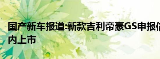 国产新车报道:新款吉利帝豪GS申报信息 或年内上市