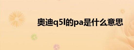 奥迪q5l的pa是什么意思