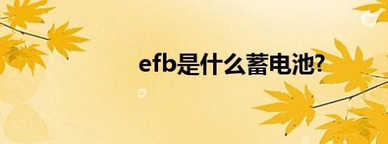 efb是什么蓄电池?