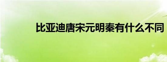 比亚迪唐宋元明秦有什么不同