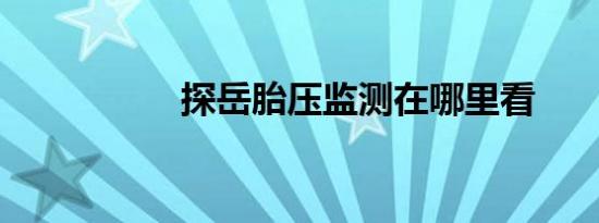 探岳胎压监测在哪里看