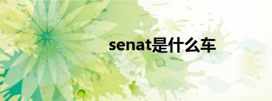 senat是什么车