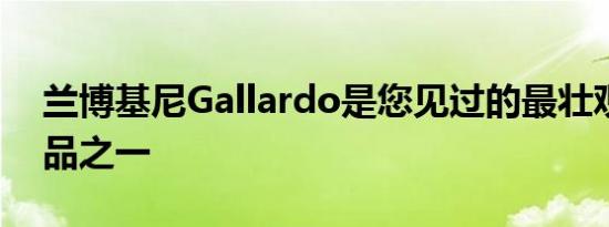 兰博基尼Gallardo是您见过的最壮观的复制品之一