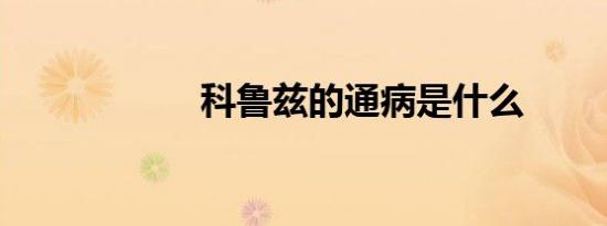 科鲁兹的通病是什么