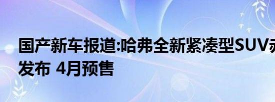 国产新车报道:哈弗全新紧凑型SUV赤兔官图发布 4月预售