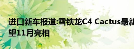 进口新车报道:雪铁龙C4 Cactus最新消息 有望11月亮相