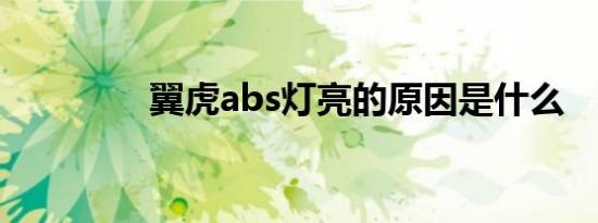 翼虎abs灯亮的原因是什么