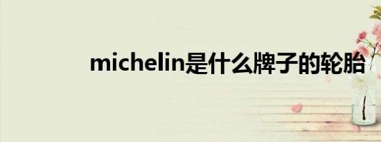 michelin是什么牌子的轮胎