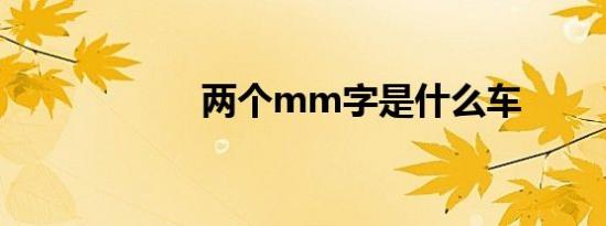 两个mm字是什么车