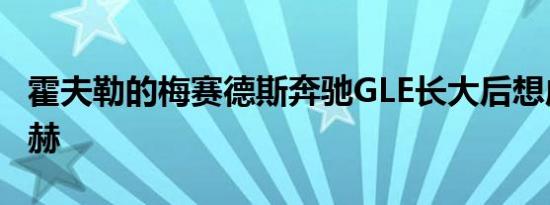 霍夫勒的梅赛德斯奔驰GLE长大后想成为迈巴赫