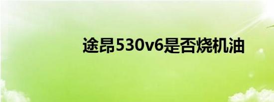 途昂530v6是否烧机油