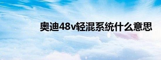 奥迪48v轻混系统什么意思