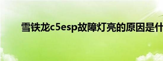 雪铁龙c5esp故障灯亮的原因是什么