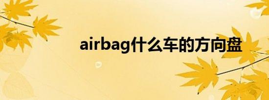 airbag什么车的方向盘