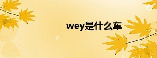 wey是什么车