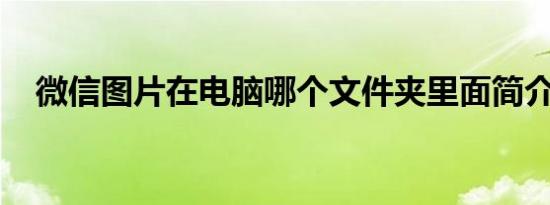 微信图片在电脑哪个文件夹里面简介介绍