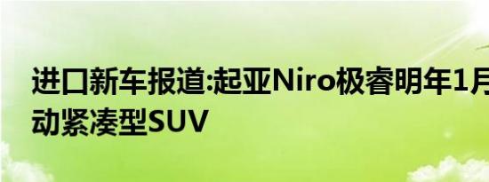 进口新车报道:起亚Niro极睿明年1月上市 混动紧凑型SUV