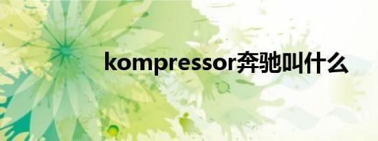 kompressor奔驰叫什么