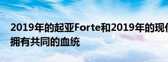 2019年的起亚Forte和2019年的现代伊兰特拥有共同的血统