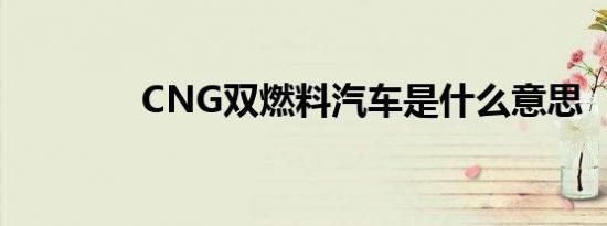 CNG双燃料汽车是什么意思