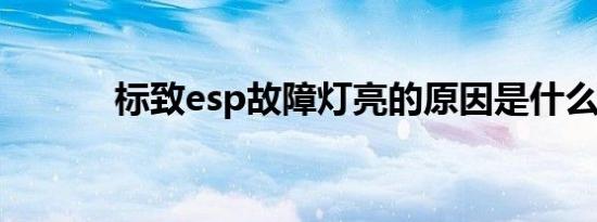 标致esp故障灯亮的原因是什么