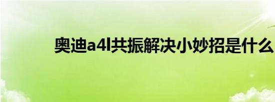 奥迪a4l共振解决小妙招是什么