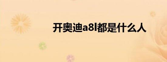 开奥迪a8l都是什么人