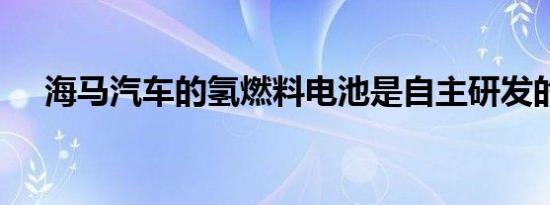 海马汽车的氢燃料电池是自主研发的吗?