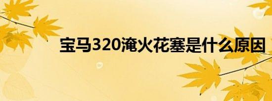 宝马320淹火花塞是什么原因