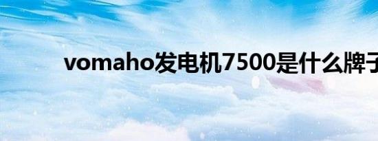 vomaho发电机7500是什么牌子