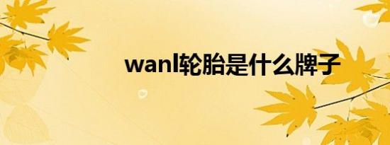 wanl轮胎是什么牌子