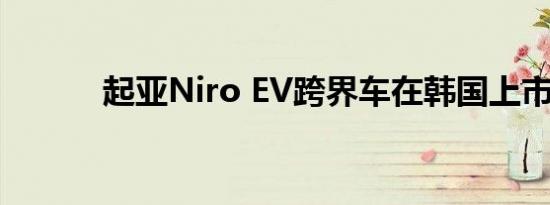 起亚Niro EV跨界车在韩国上市