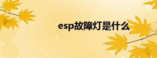 esp故障灯是什么