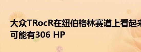 大众TRocR在纽伯格林赛道上看起来很俏皮可能有306 HP