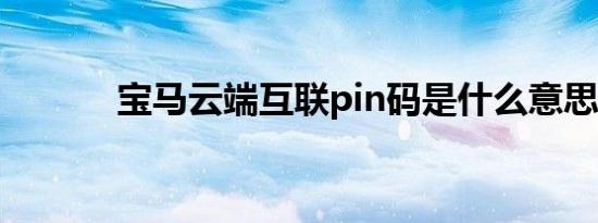 宝马云端互联pin码是什么意思