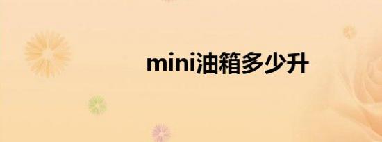 mini油箱多少升