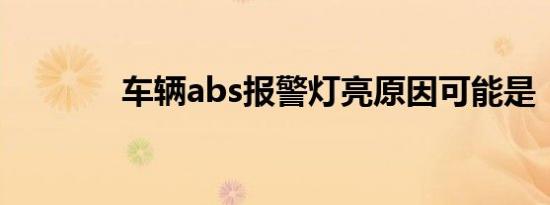 车辆abs报警灯亮原因可能是