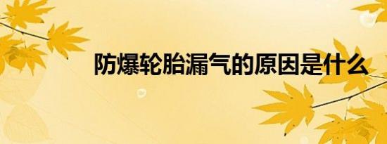 防爆轮胎漏气的原因是什么