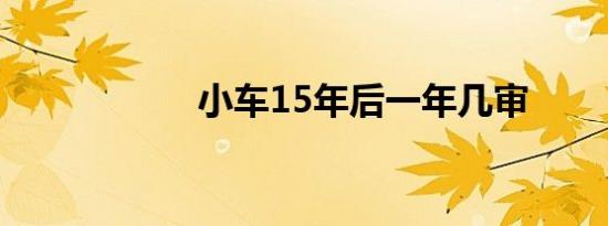 小车15年后一年几审