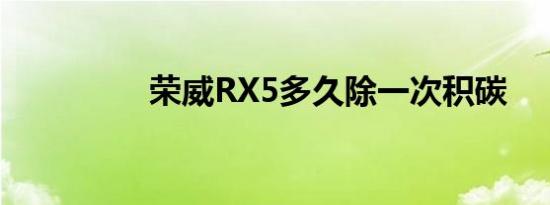 荣威RX5多久除一次积碳