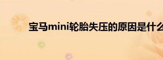 宝马mini轮胎失压的原因是什么