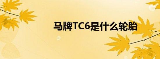 马牌TC6是什么轮胎