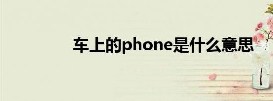 车上的phone是什么意思