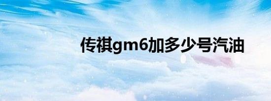 传祺gm6加多少号汽油