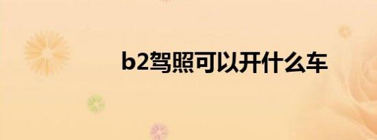 b2驾照可以开什么车