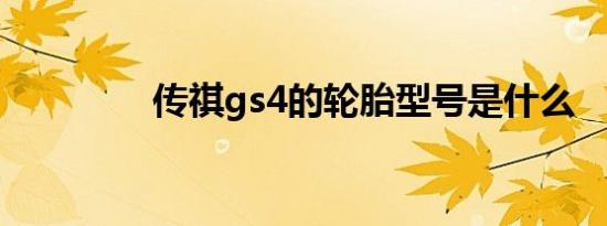 传祺gs4的轮胎型号是什么