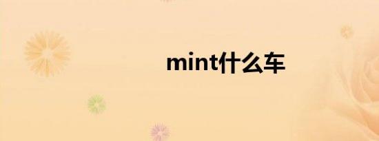 mint什么车