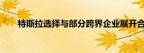 特斯拉选择与部分跨界企业展开合作