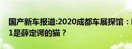 国产新车报道:2020成都车展探馆：欧拉ES11是薛定谔的猫？