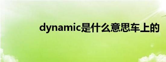 dynamic是什么意思车上的